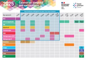 calendrier vaccinal 2025 Calendrier vaccinal 2025