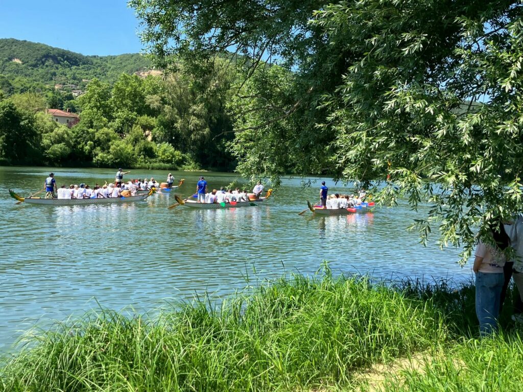 saone