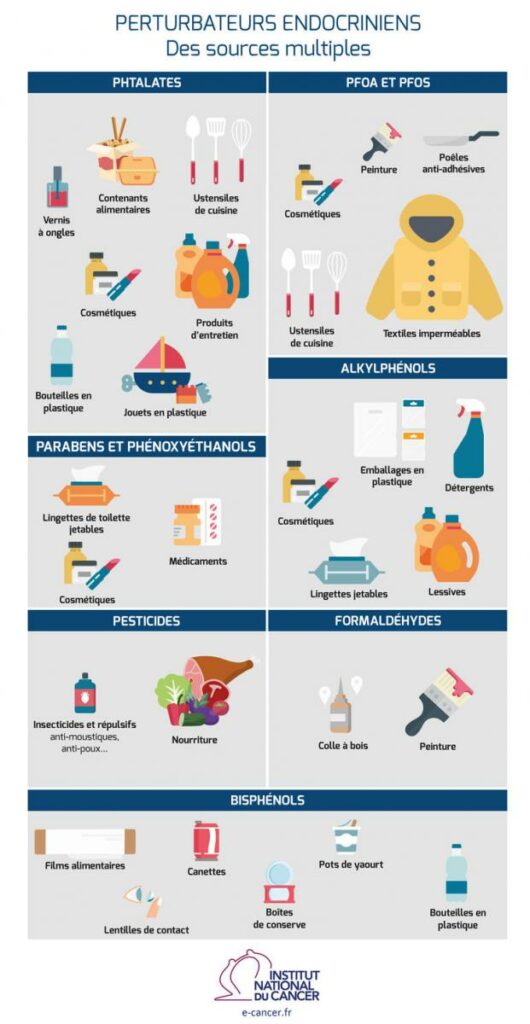 les sources des perturbateurs endocriniens institutcancer